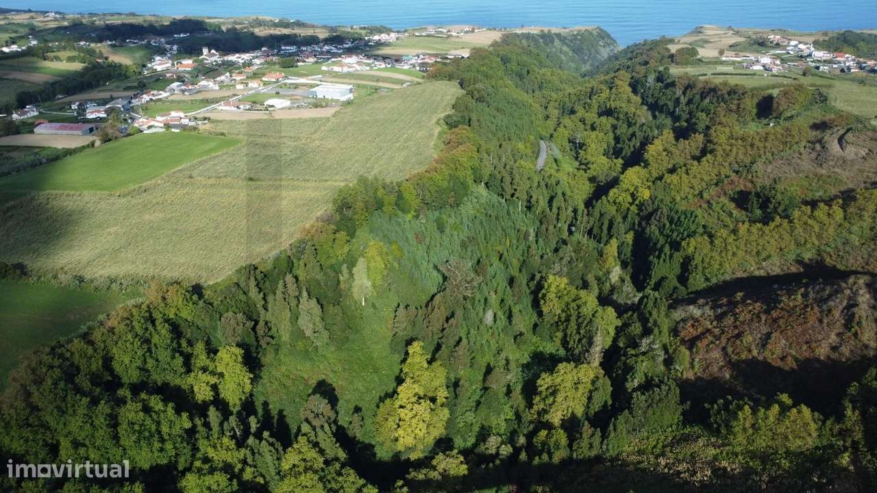 Terreno Rústico em Lomba da Maia - Grande imagem: 4/9