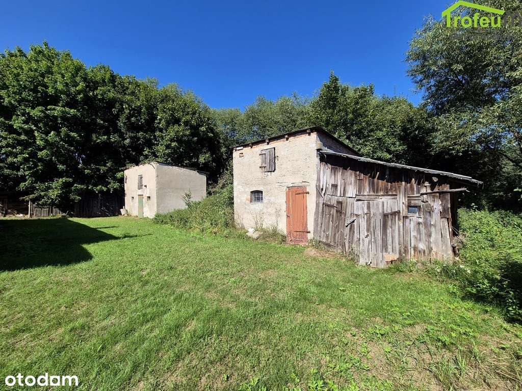 Parterowy dom z dużą działką 5026 m2 - Górne Morgi - Pełny obrazek: 4/18