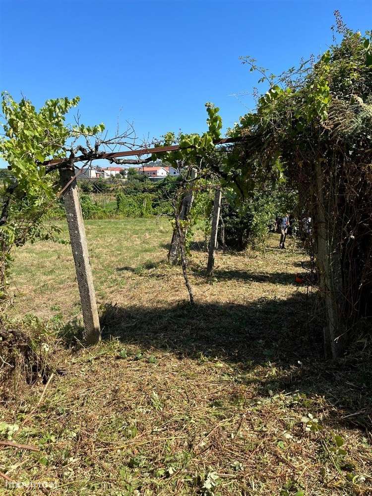 Terreno Venda-5