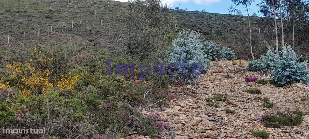 Terreno rústico em Milheirós de Poiares, Santa Maria da Feira - Grande imagem: 5/6