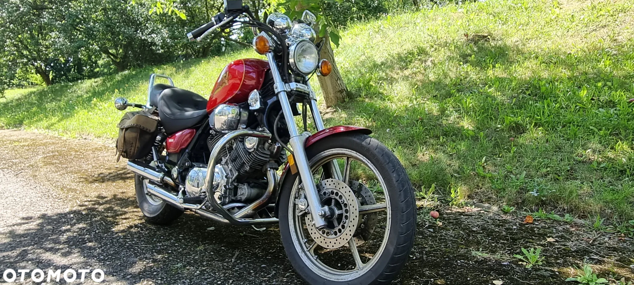 Yamaha Virago - 3