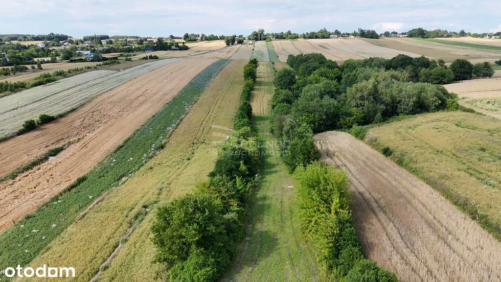 Atrakcyjna działka z pięknym widokiem-Majdan Górny - Pełny obrazek: 4/7