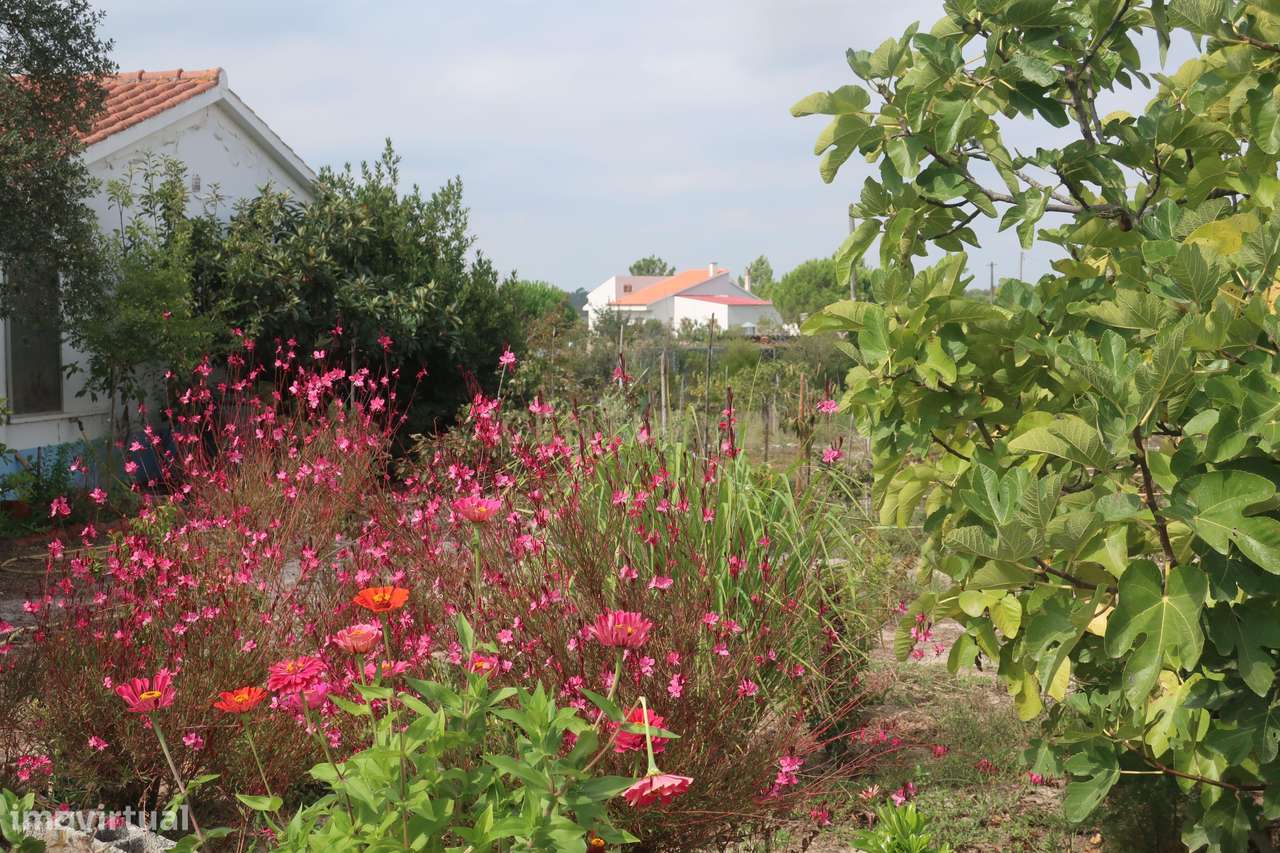 Quinta com Moradia para vender na Herdade de Almada em Foros de Almada-31
