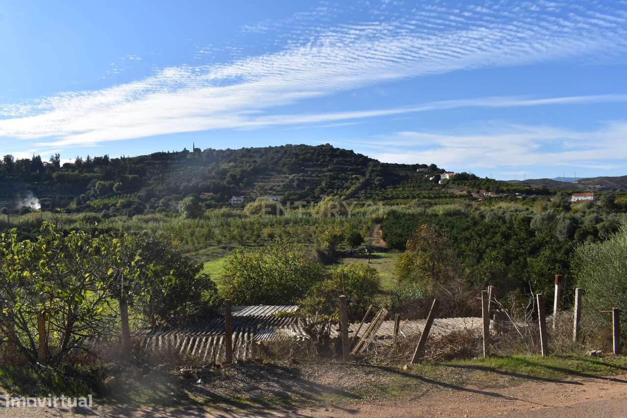 Terreno Rústico com bom acesso perto de Silves - Grande imagem: 2/24