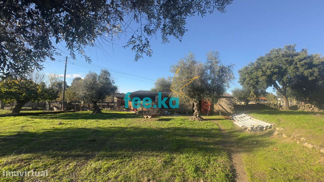 Quinta em Escalos de Baixo-21