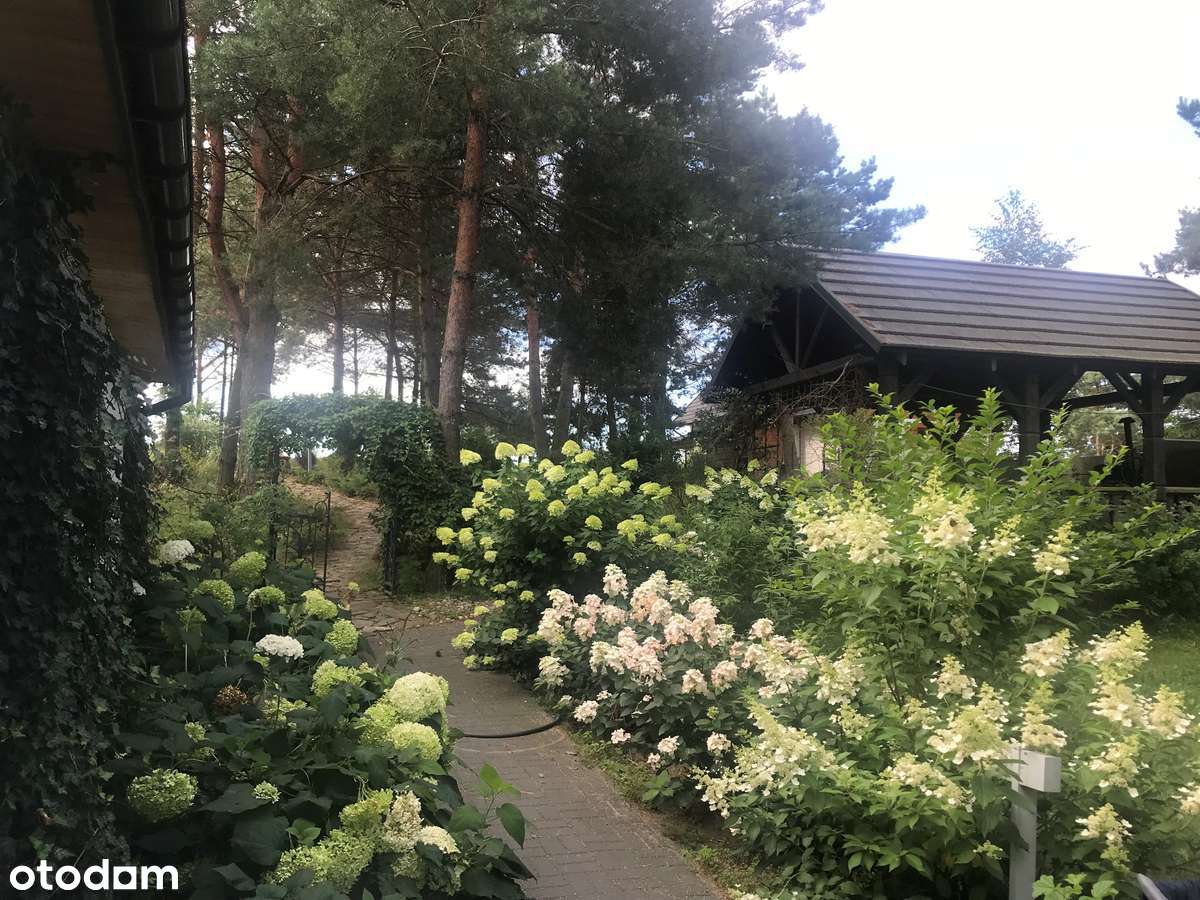 Całoroczny dom nad rozlewiskiem rzeki Narew - Pełny obrazek: 4/16