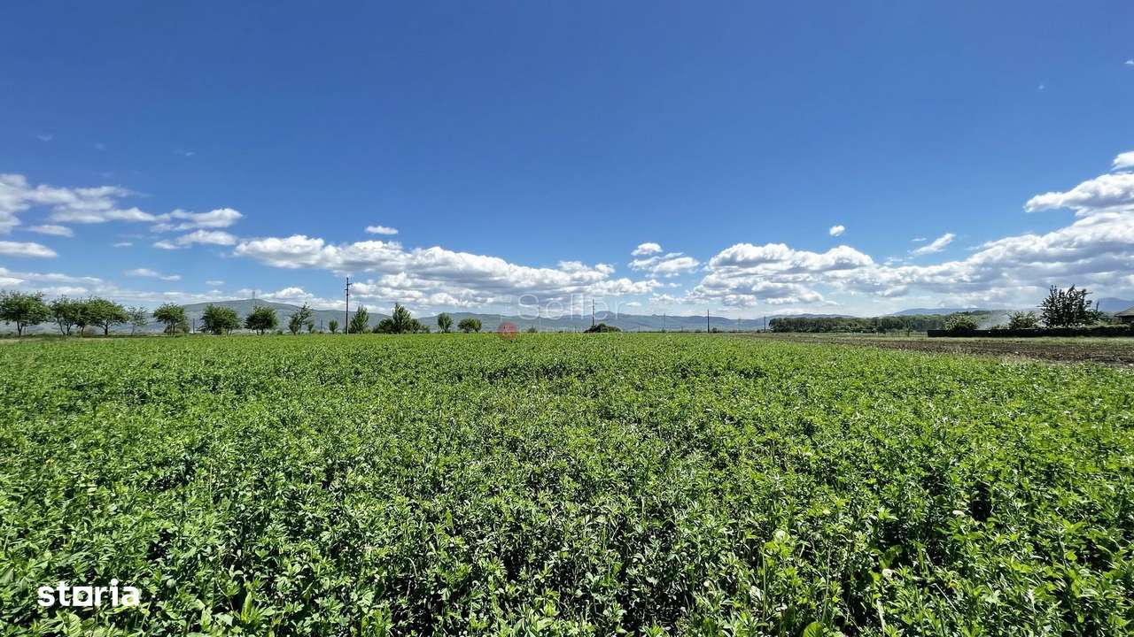 Teren intravilan Zona Metropolitana Brasov - Imagine principală: 5/13