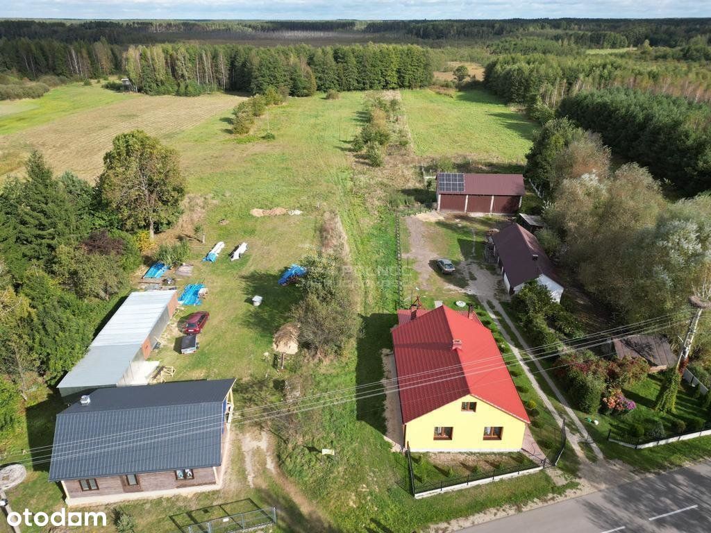 Działka Kosyń gmina Wola Uhruska 4200m2