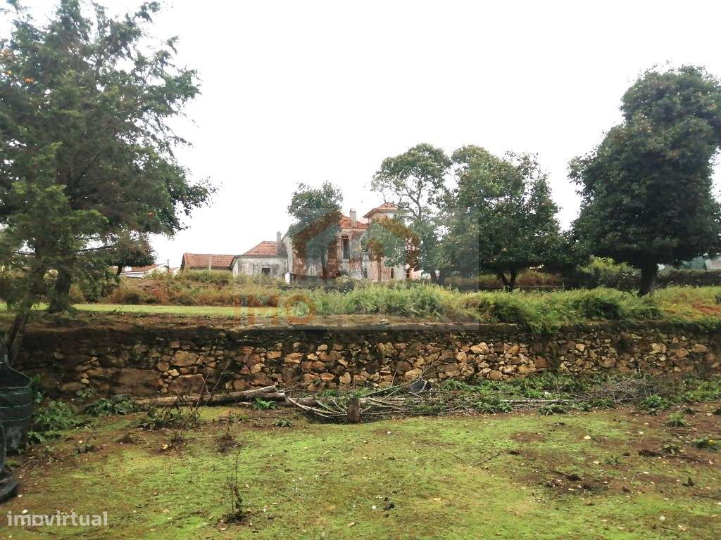 QUINTA - GIÃO - Grande imagem: 5/34