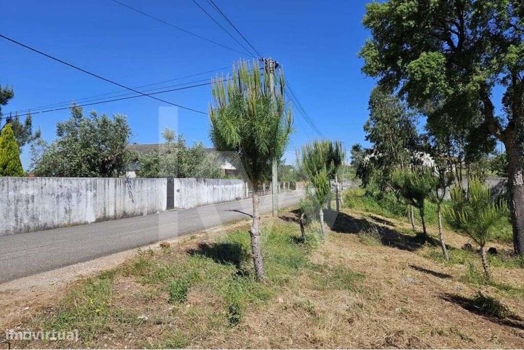 Terreno | Viabilidade de construção | 2.318 m2 | Boa exposição solar - Grande imagem: 3/13