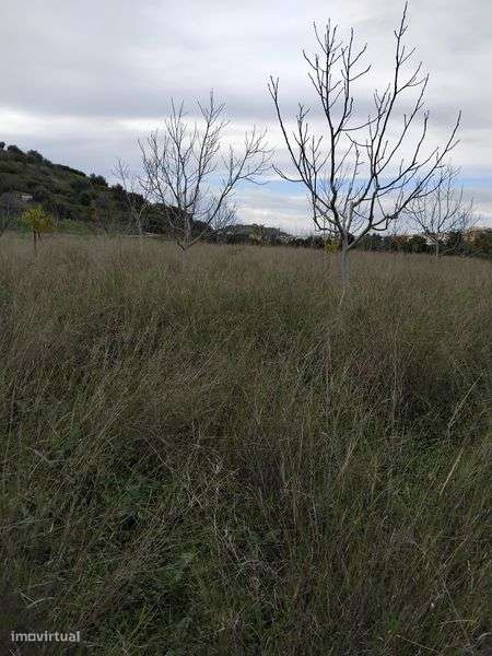 Investimento em Turismo Rural - Grande imagem: 4/6