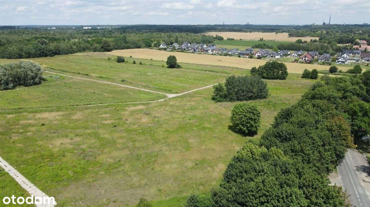 Działka, 600 m², Zabrze-1