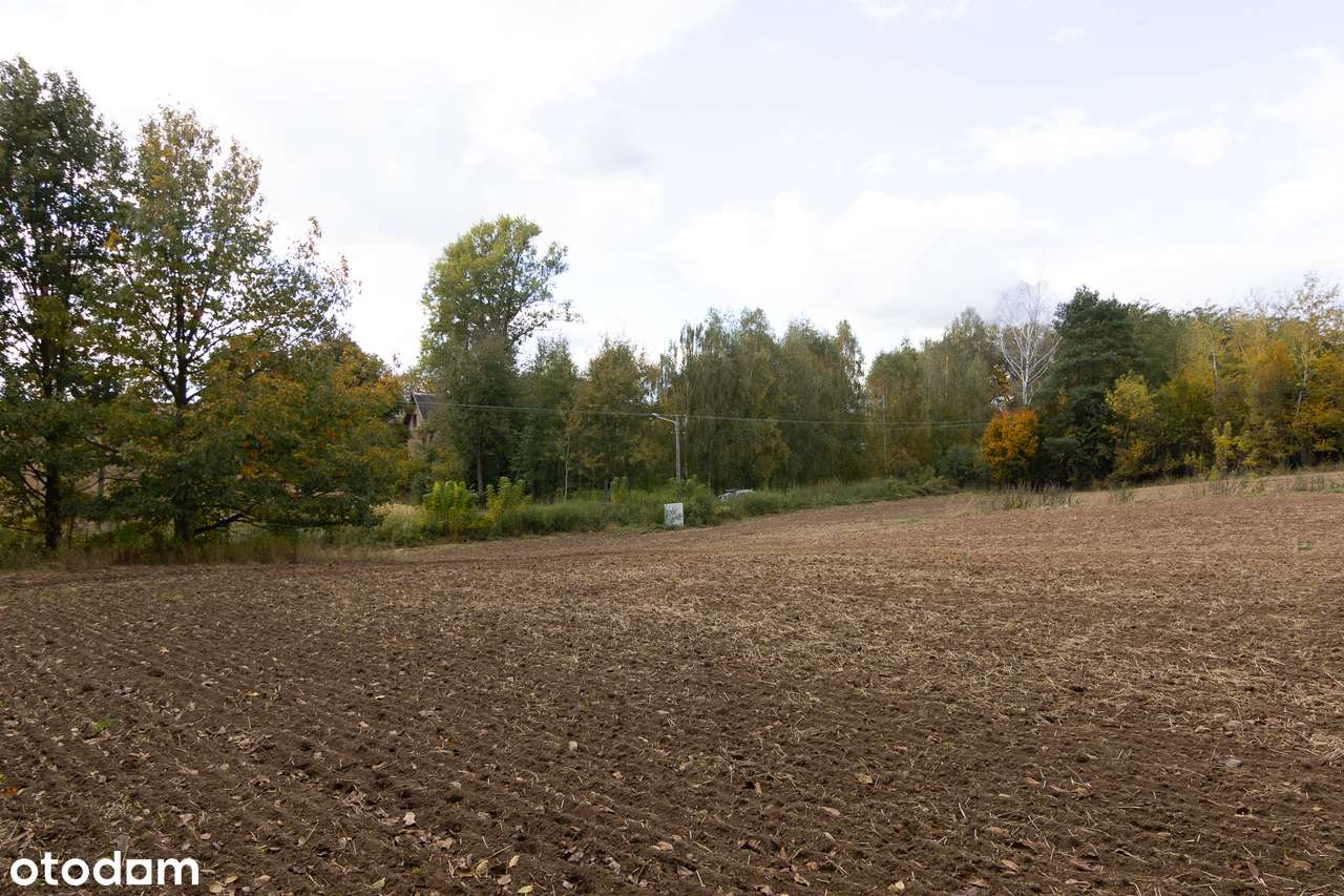 Działka budowlana Chmiel - Kolonia-8