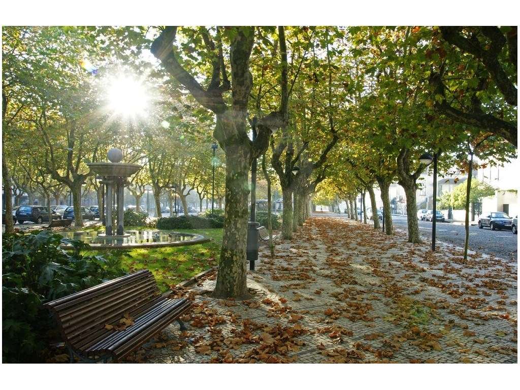 Trespasse de loja comercial com 80m2 em Vila do Conde - Grande imagem: 5/25