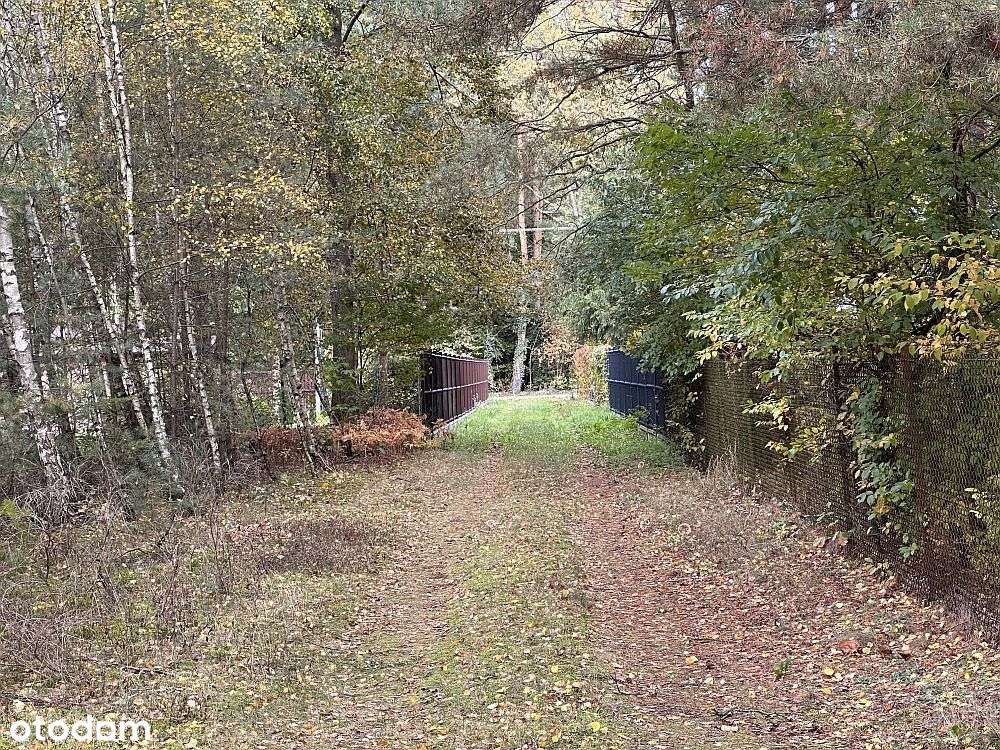 Kwiatkowice Las- działka pod dom, cisza, las - Pełny obrazek: 4/5