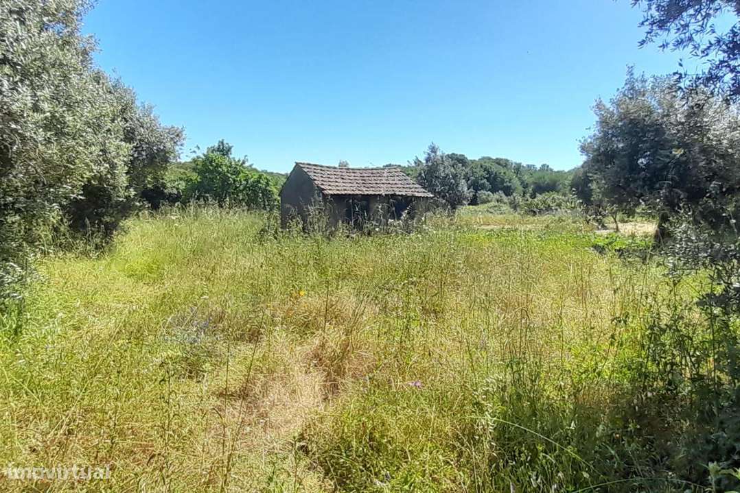 Oportunidade Única na Sabacheira, perto de Fátima-15