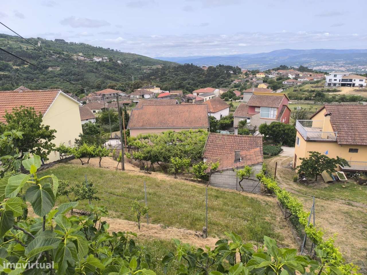 Casas prontas a habitar com terreno, arvores de fruto, forno e água pr - Grande imagem: 5/53