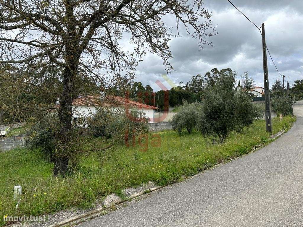 Terreno C/Viabilidade de construção! - Grande imagem: 4/5