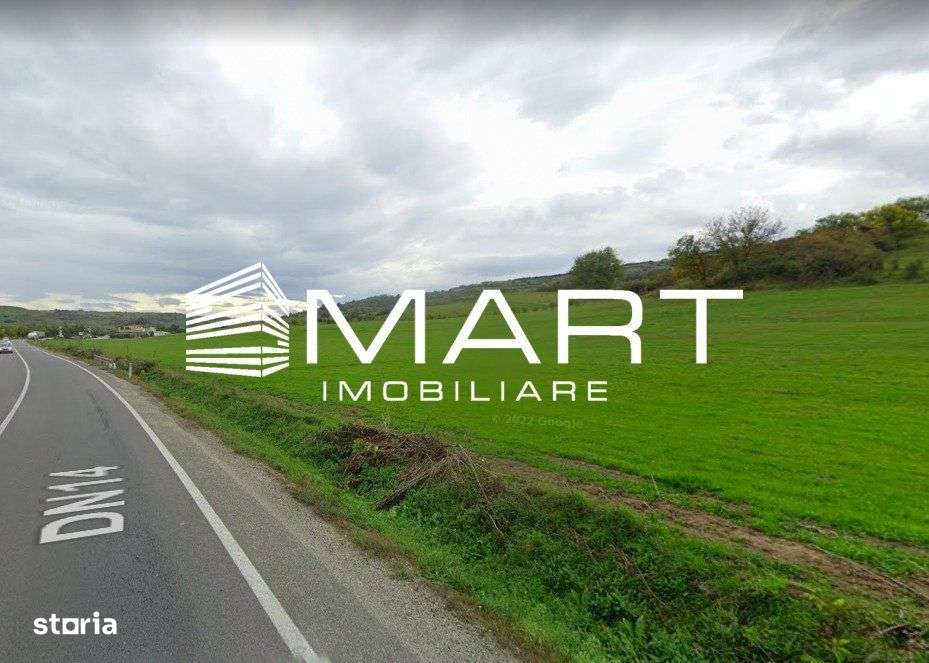 Teren extravilan 42000MP Seica Mare - Sibiu - Imagine principală: 2/4