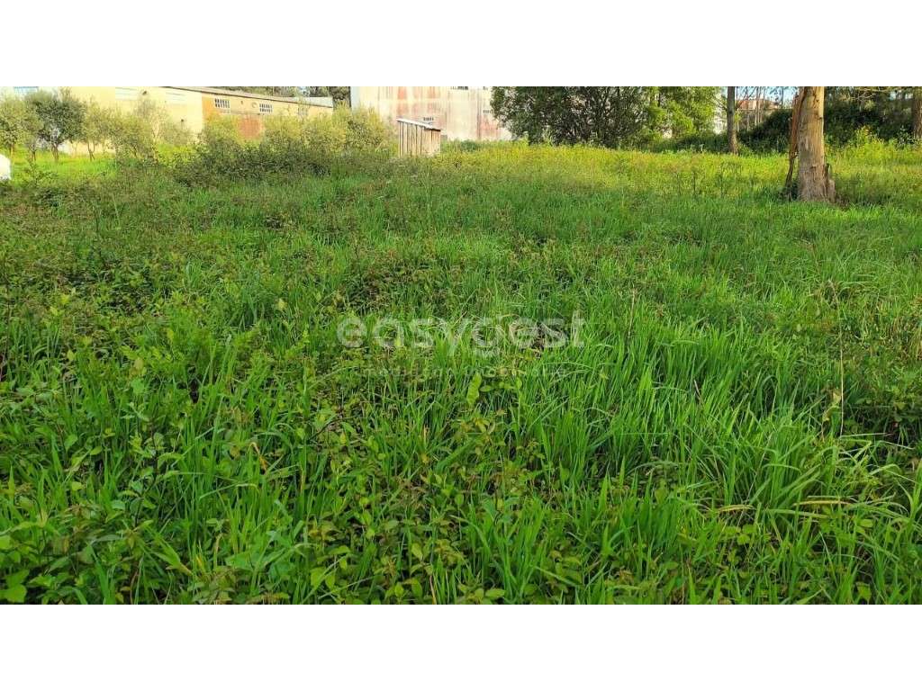 Terreno Rústico com possibilidade de construção em Touria Pousos - Grande imagem: 4/13