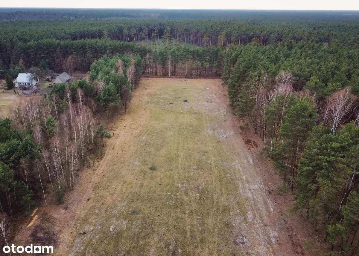 Malownicze działki z warunkami zabudowy ! - Pełny obrazek: 4/7