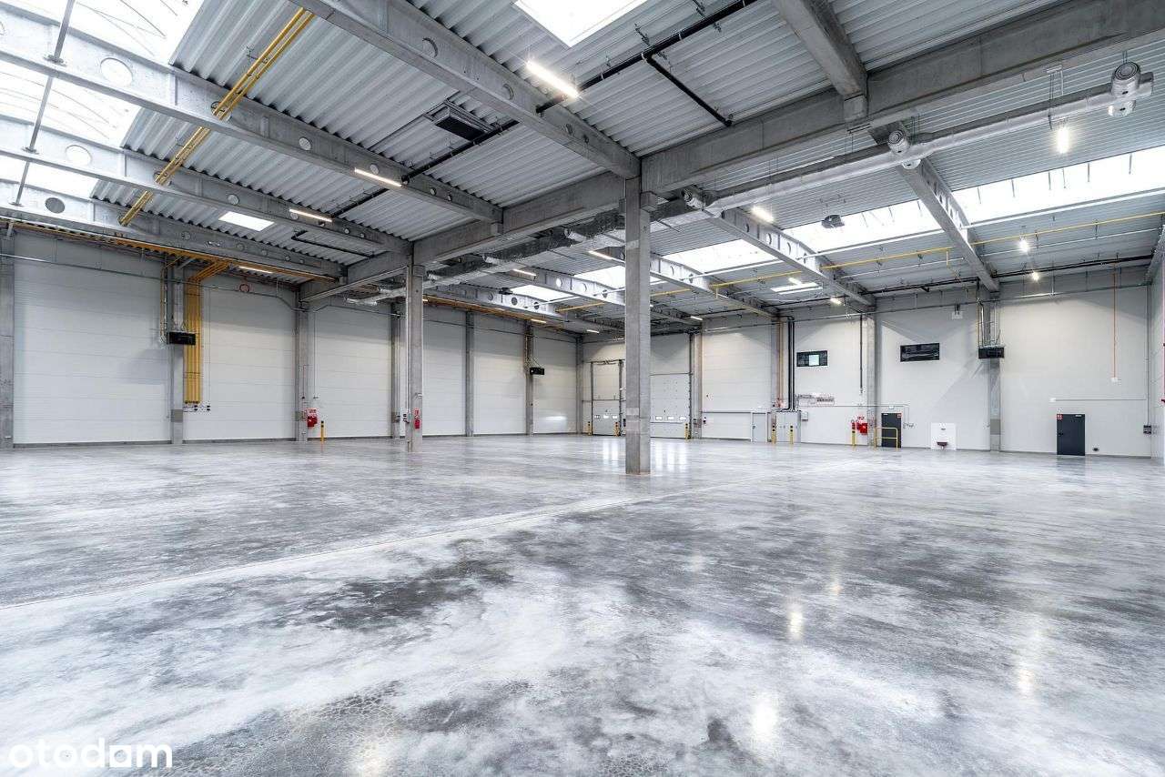 Hala na wynajem Brzeg MODUŁ D + biuro - Pełny obrazek: 5/18