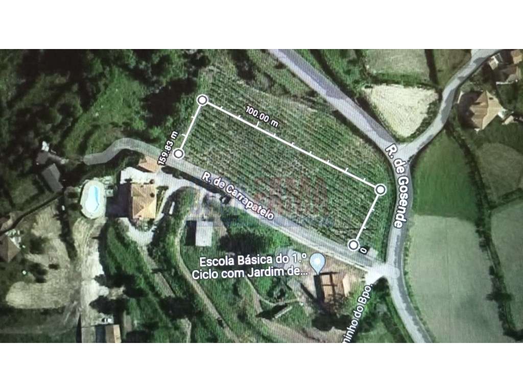 Terreno de 8000m² à Venda em Baião - Uma Oportunidade Única no Nort... - Grande imagem: 1/26