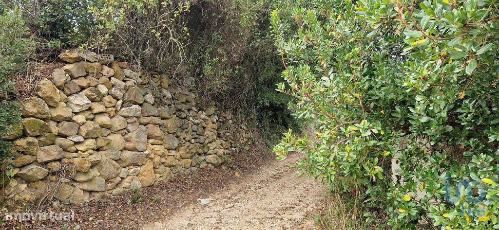 Terreno em Mafra de 12249,00 m2 - Grande imagem: 1/30
