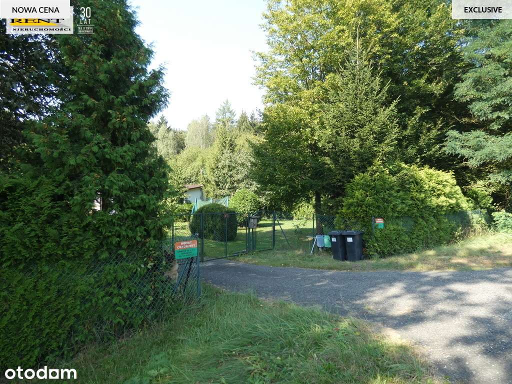 Duża działka z bujną zielenią  blisko miasta - Pełny obrazek: 5/8