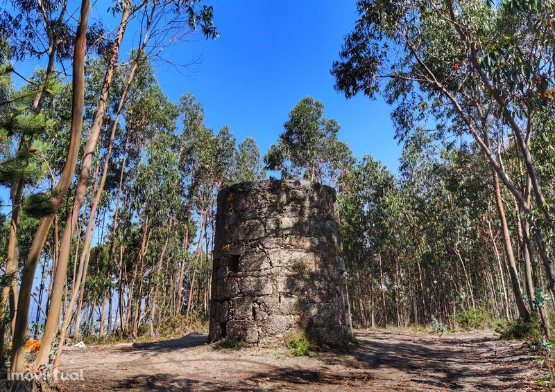 Moinho de Vento Histórico e terreno com 5 688m2 em Leitões, Guimarães