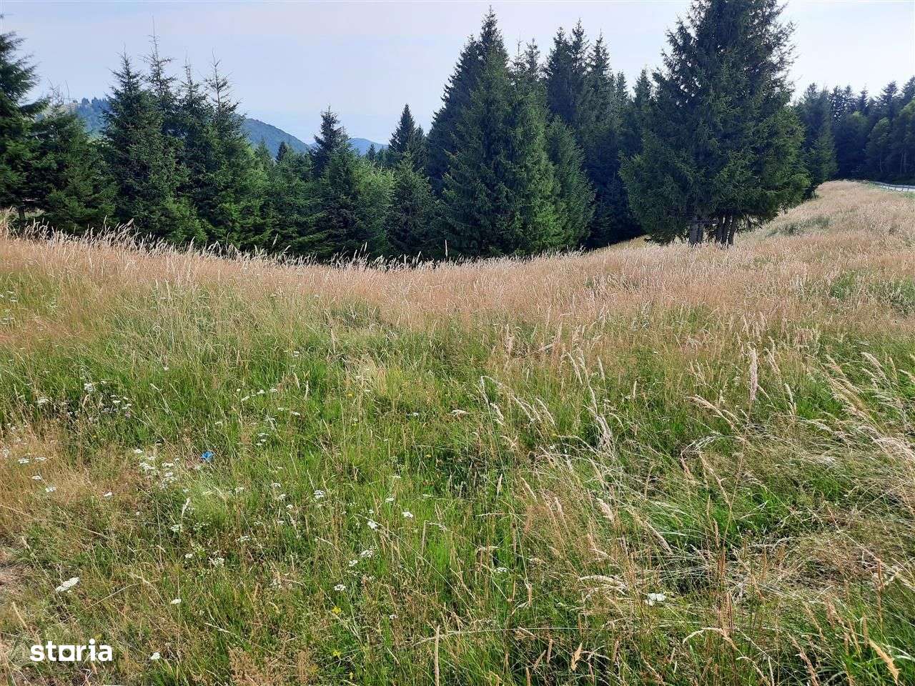 Teren intravilan pt cabană/pensiune – 800 mp, Păltiniș | Zonă superbă - Imagine principală: 4/7