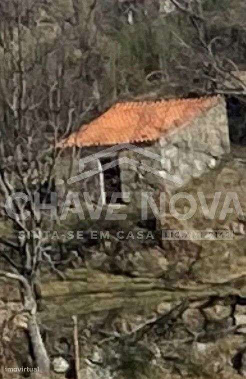 Terreno Rústico C/ Moradias P/ Recuperar - Linhares, Celorico da Beira - Grande imagem: 5/9