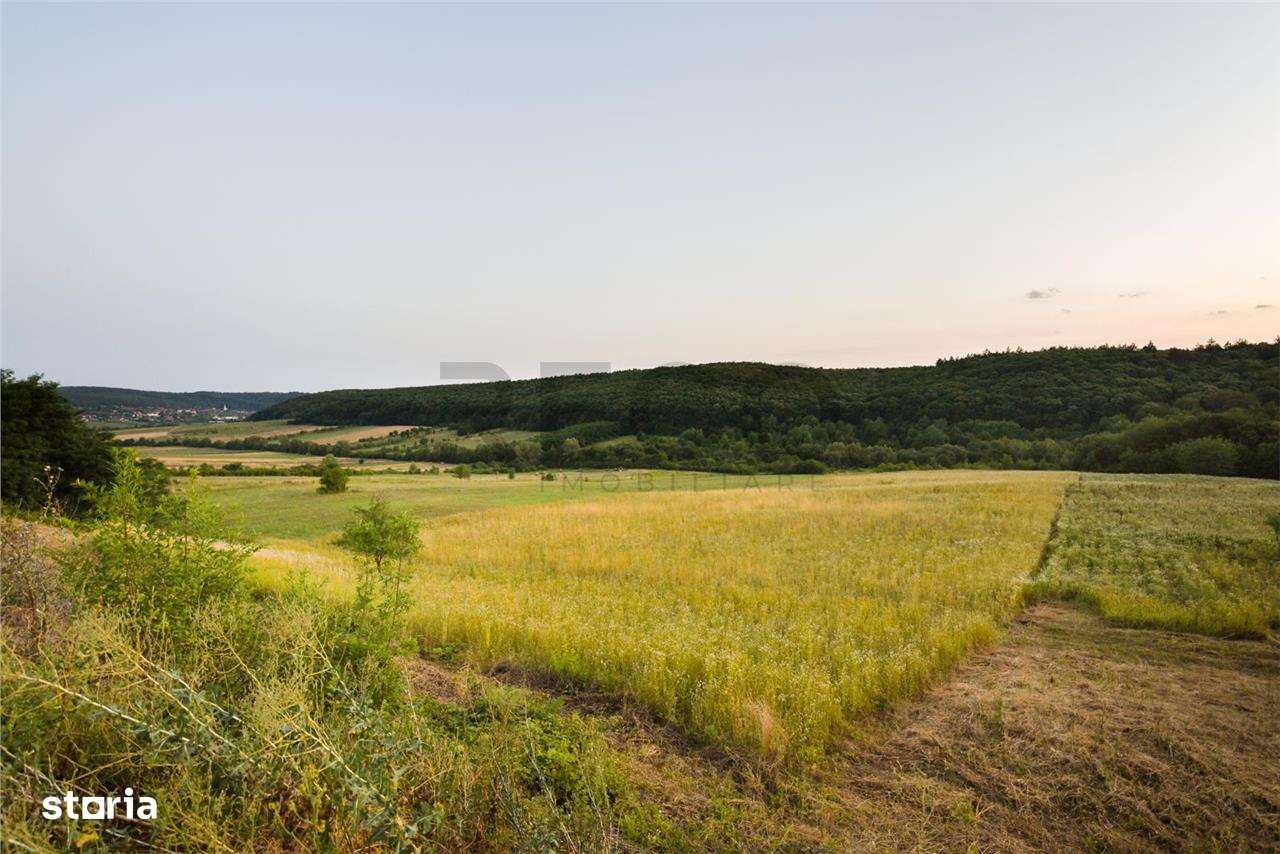 RECO Teren extravilan 11500 mp -Lazareni - Imagine principală: 4/5