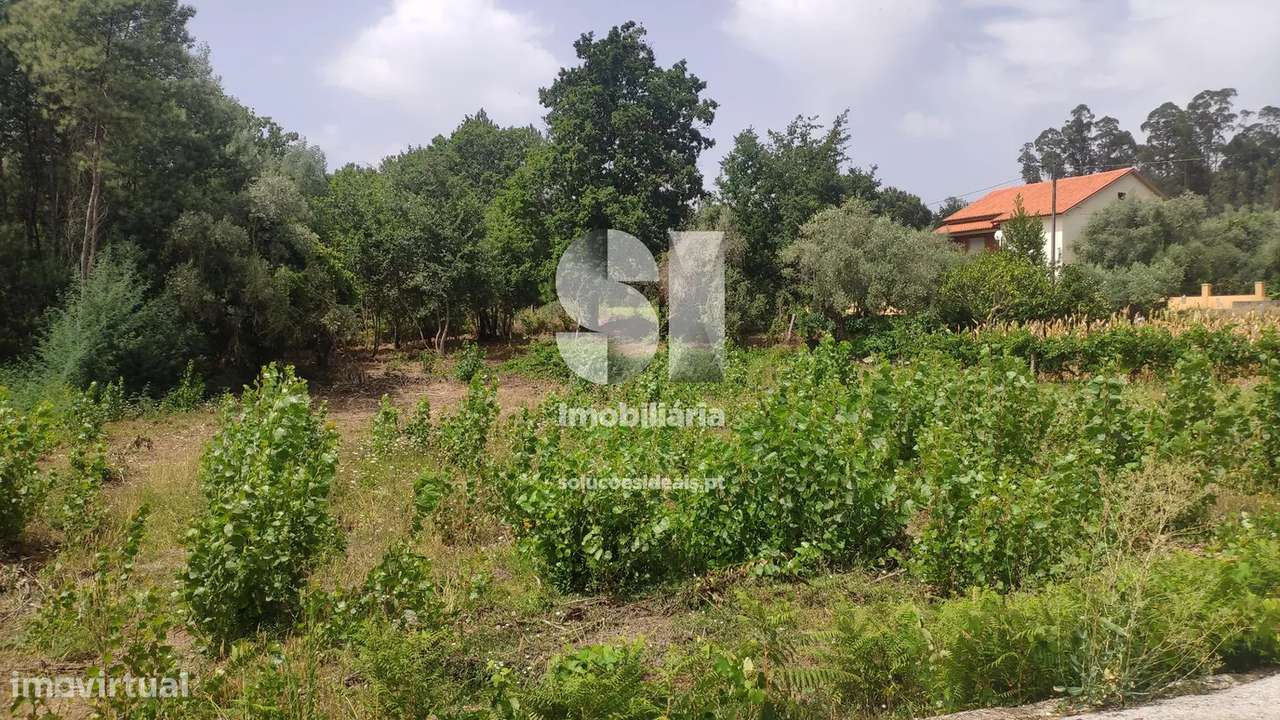 Terreno em Penacova - Grande imagem: 4/7