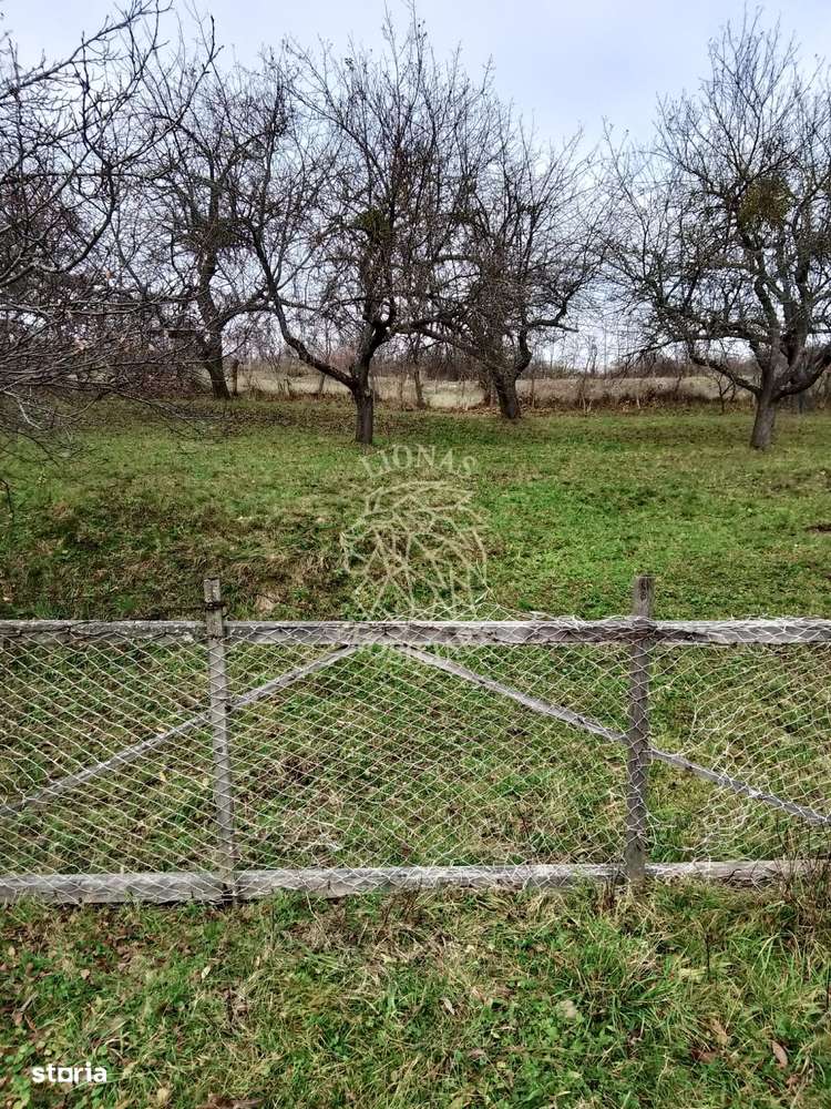 Teren 3966 mp-2 deschideri-curent-investitie-Budacu de Sus - Imagine principală: 2/5