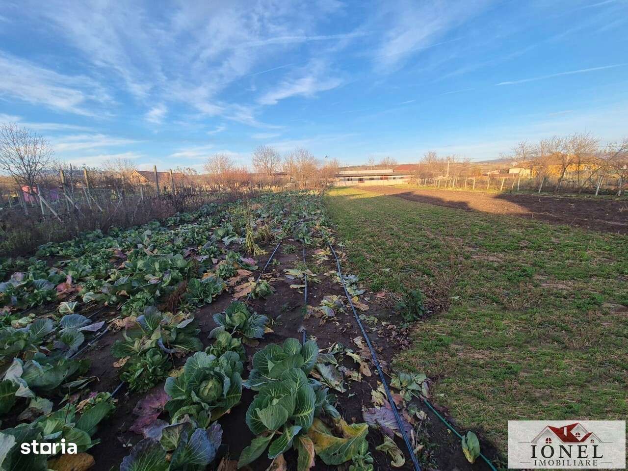 Casa in Craciulelu de Jos-11