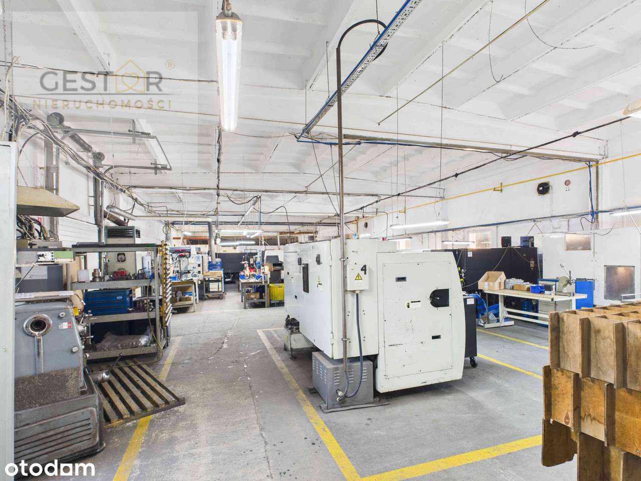 Kompleks hal produkcyjno-magazynowych z biurami – gotowy do inwestycji-14