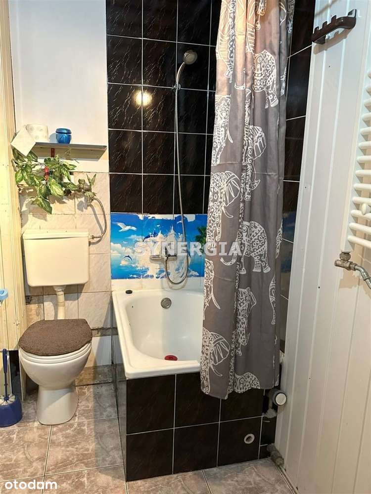 Duża kawalerka w centrum miasta-9