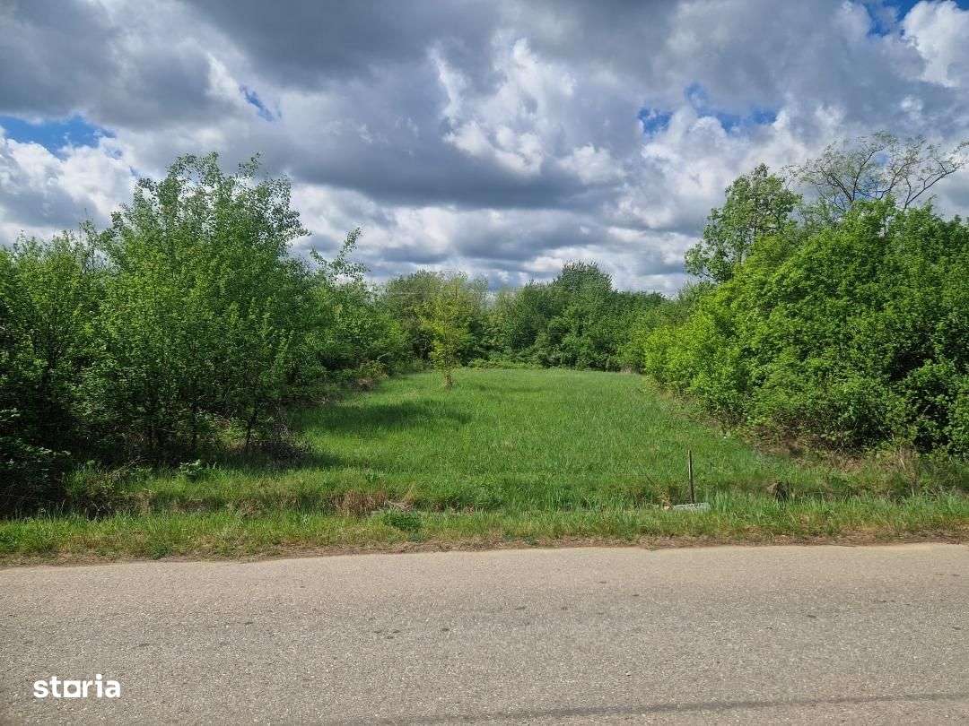 Teren intravilan Cocu Arges-4