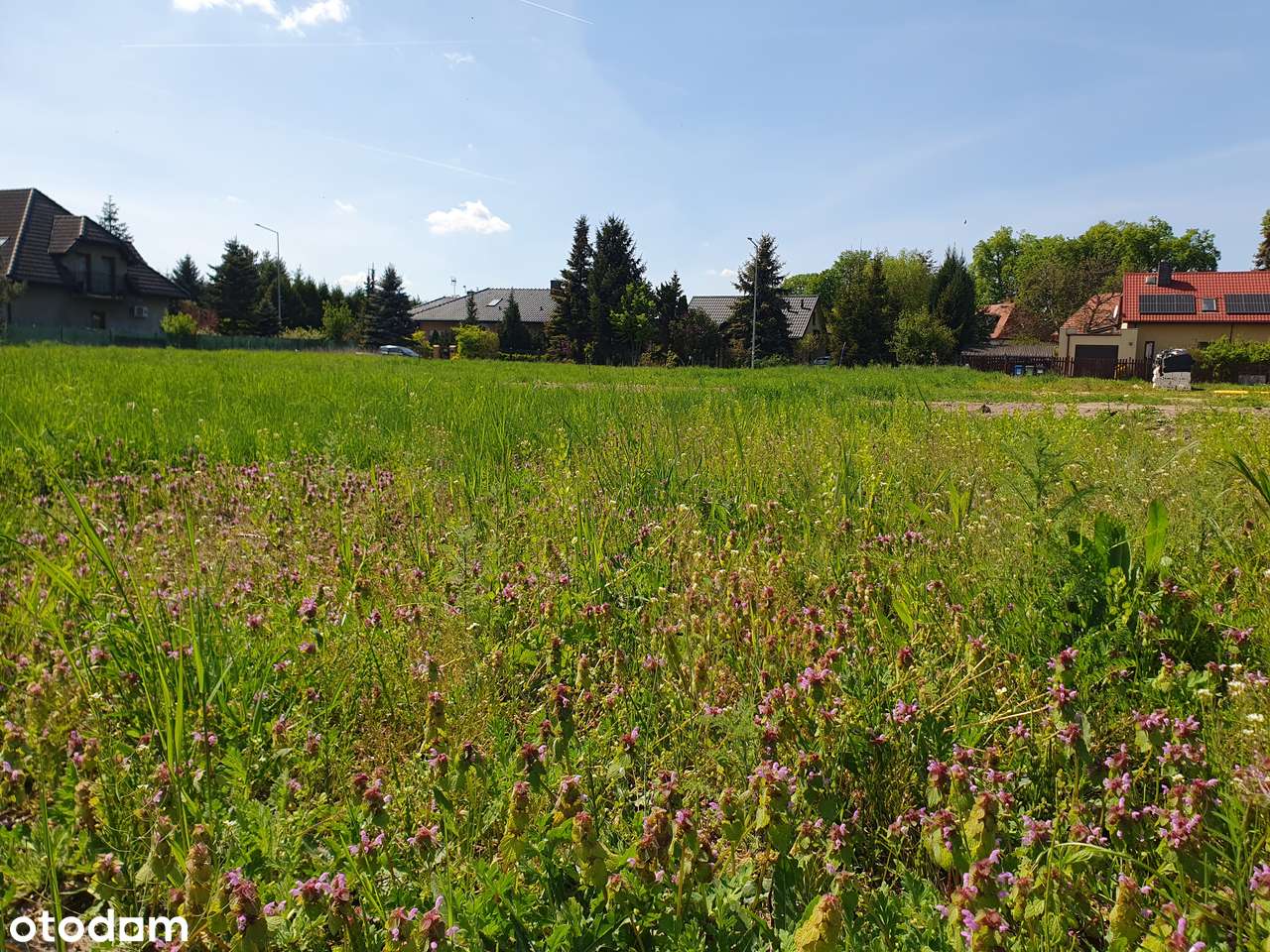 Działka, która ma wszystko- spokój, przestrzeń i doskonałą lokalizację - Pełny obrazek: 4/8