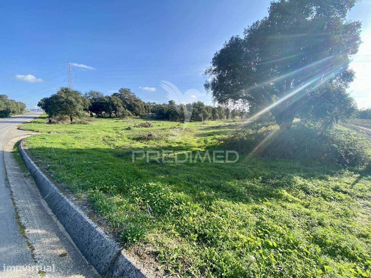 Terreno Rústico com 9.200 m² | Quinta do Anjo - Grande imagem: 3/3