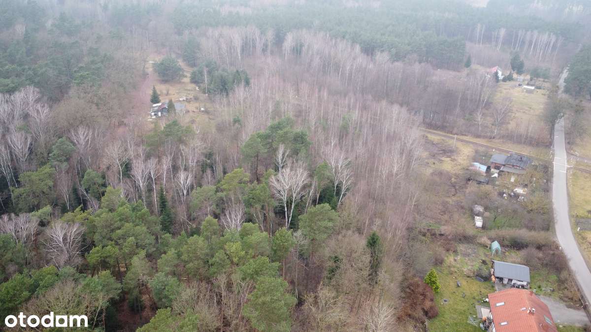 Działka 1,4 ha, GZIN, gmina Dąbrowa Chełmińska-4