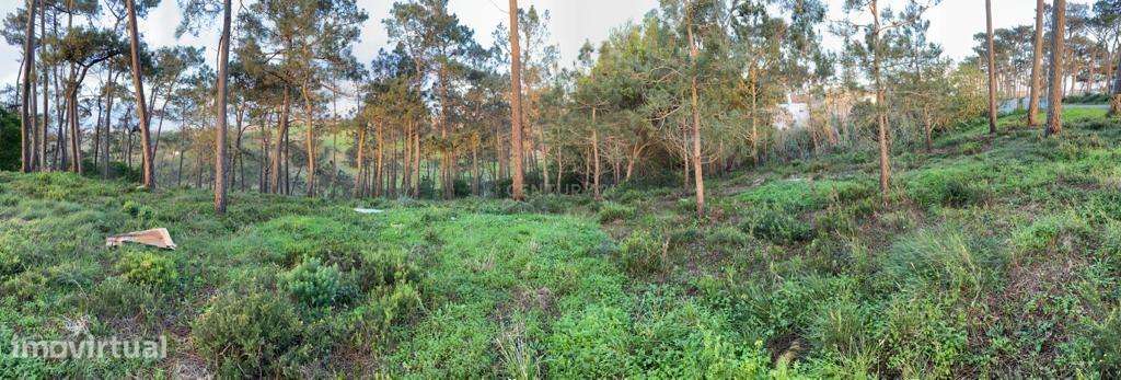 Terreno Rustico - Grande imagem: 3/29