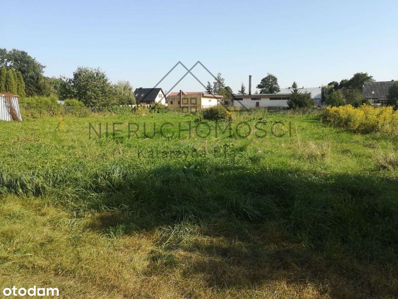 Działka budowlana w centrum Siedliska k. Trzcianki-12