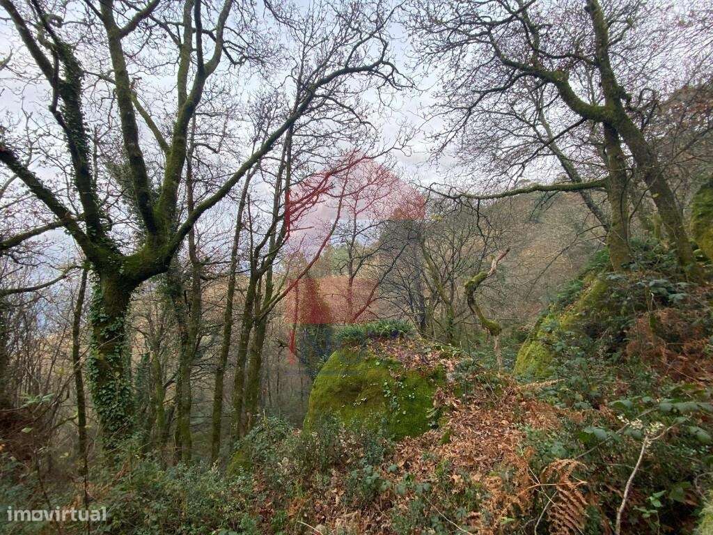 2 Terrenos para venda, Cuide de Vila Verde - Grande imagem: 3/20