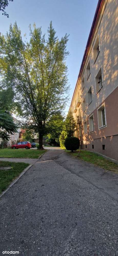 BEZPOŚREDNIO! 2 pokojowe, parking, Mickiewicza - Pełny obrazek: 5/19