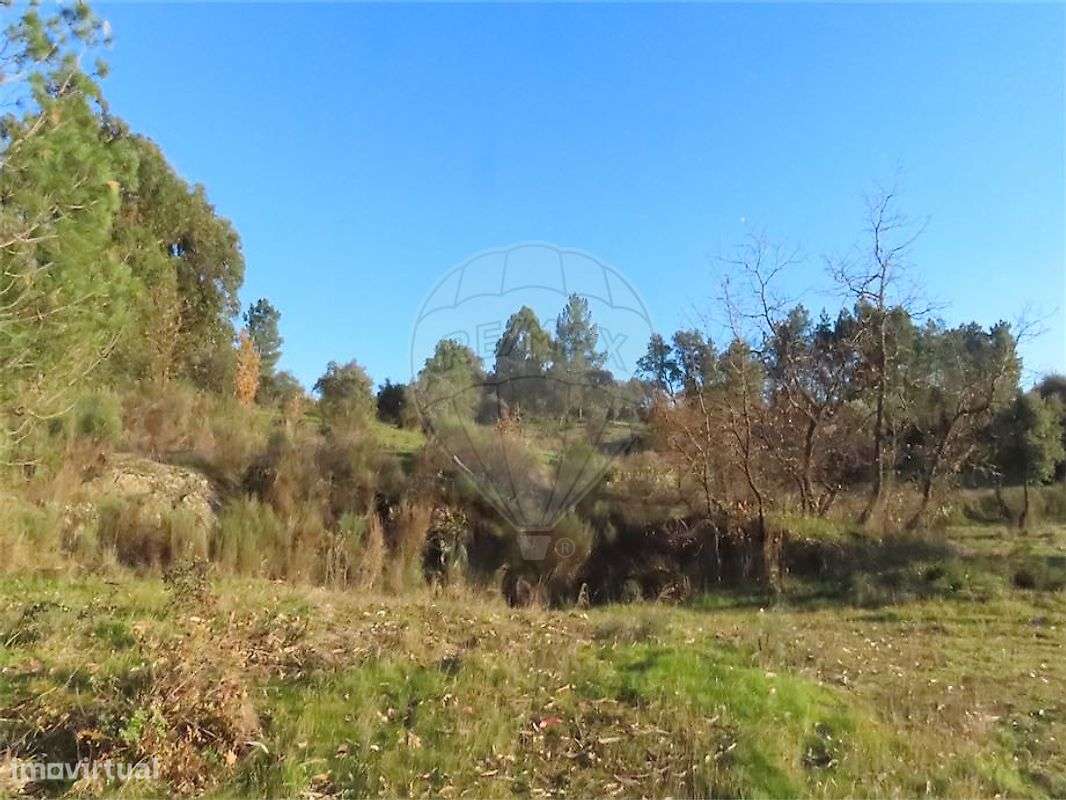Quinta  para venda - Grande imagem: 4/25