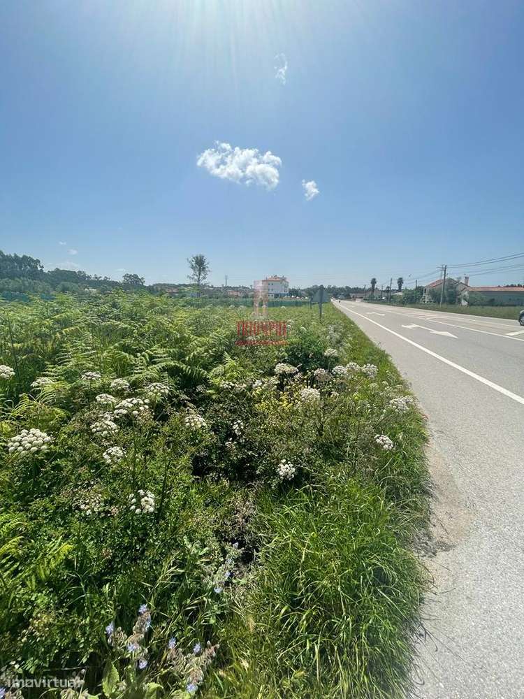 Terreno Rustico 6280m2, Vermoil, Pombal - Grande imagem: 2/17