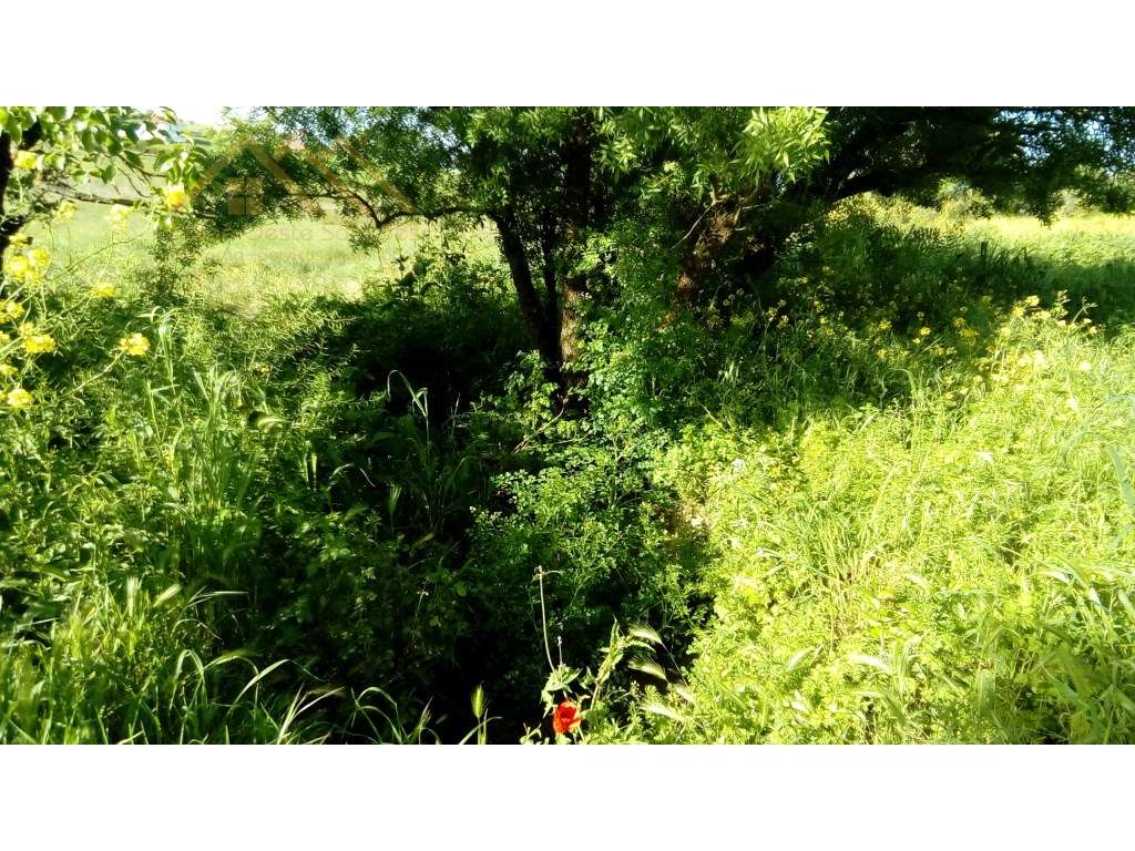 Quinta Boialvo em Vila Franca de Xira-11