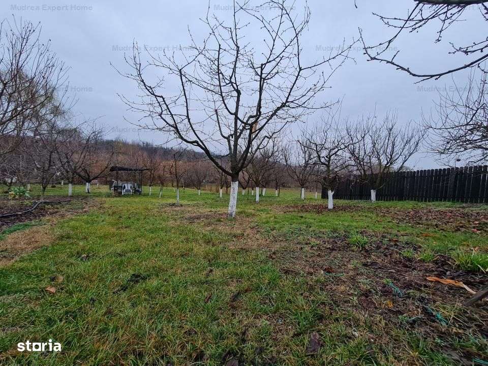 Nou | Casa la Lacul Snagov / Teren 2600 mp / Zona Snagov-Tancabes - Imagine principală: 4/13